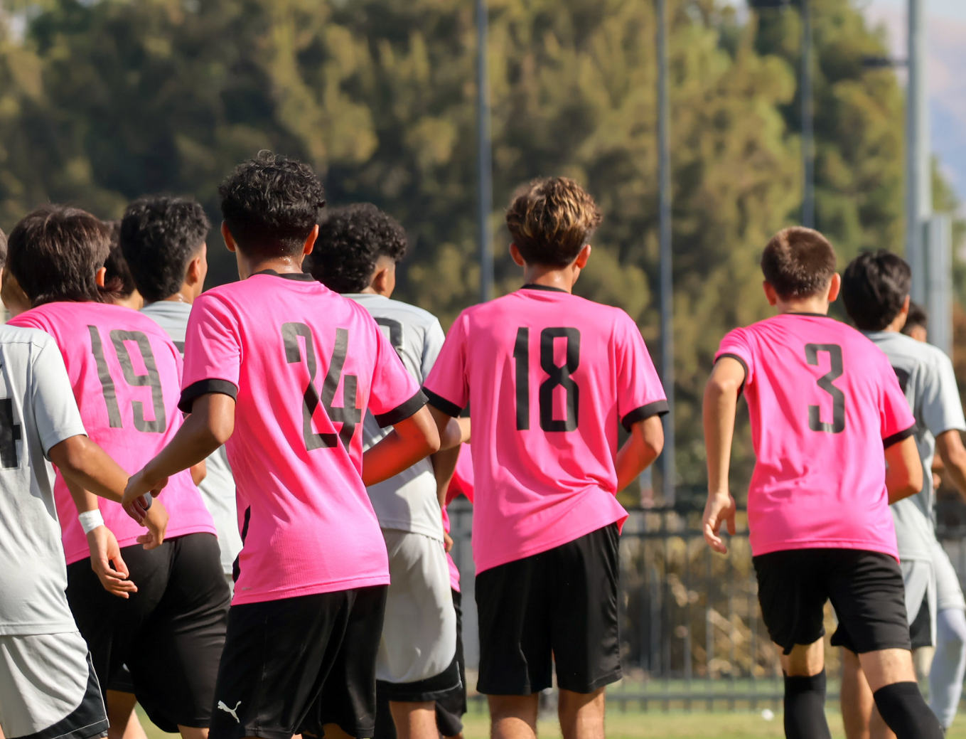 Goals for a Cure Collection